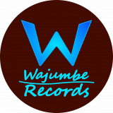 Wajumbe Records