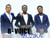B-voice muzika