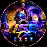 USB M.I.C