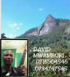 David Mwamburi