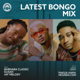 Bongo Mix 2023 - DJ BEE ✔️