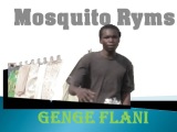 Mosquito Ryms