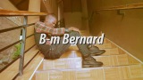 B-m Bernard