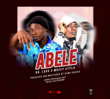 Beiby Style Baby Style Moze Stylo