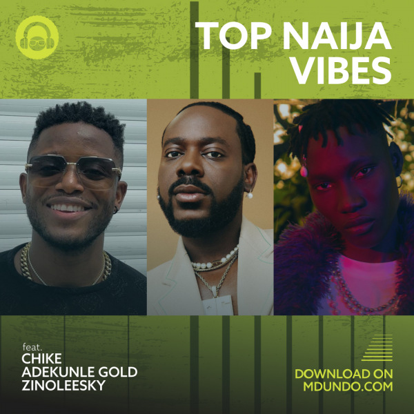 Naija Jam Mix by Afrobeats DJ Mixes ️ ⚜ Download or listen online