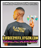 DJ Freezy Youngstar Dancehall Sound Effects