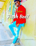 Flash Bee7