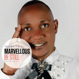Marvellous Songs Collection