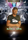 DJ ITAL LIVE
