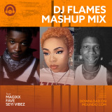 DJ Flames - Naija