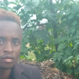 #KingsMainaMSsteve#Music#Songs#Lyrics