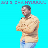 SAI B