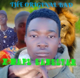 X-MAPS GANGSTAR ZAMBIA