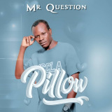 Mr Question