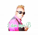 2 Stars mzeeB