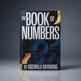 BOOK OF NUMBERS by ADEMOLA RAYMOND