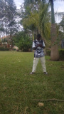 Vian kayz 256
