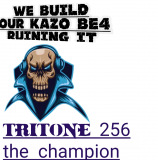 Tritone 256