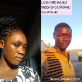 Zambian lushomo hajila
