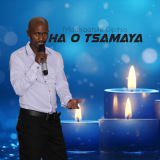 Modisaotsile Dipitso