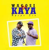 Wagosi wa kaya