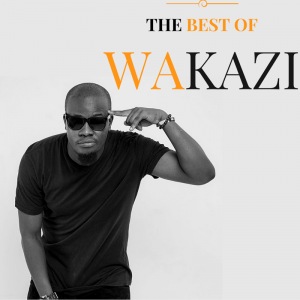 The Best of Wakazi