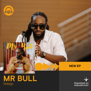 NDEGZ NEW EP- MR. BULL