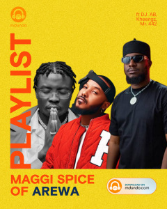 Maggi Spice Of Arewa